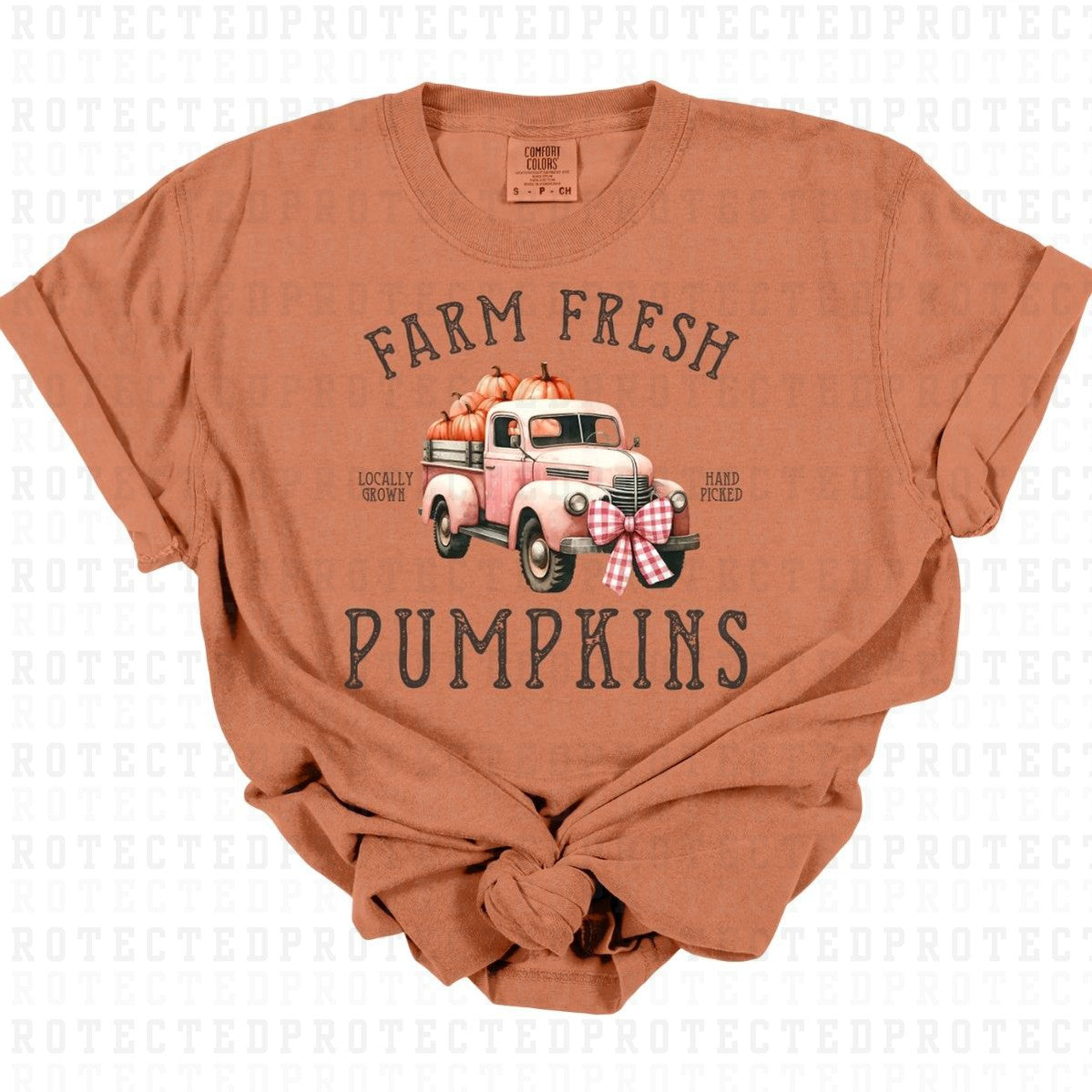 COQUETTE FARM FRESH PUMPKINS - DTF TRANSFER