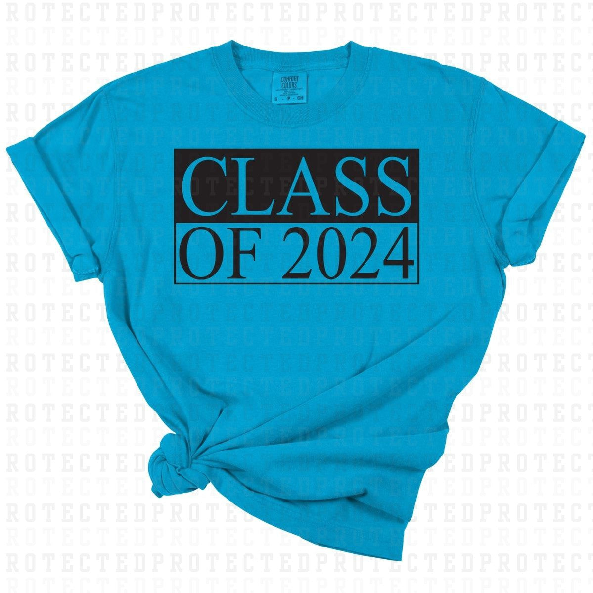 CLASS OF 2024 *SINGLE COLOR* - DTF TRANSFER