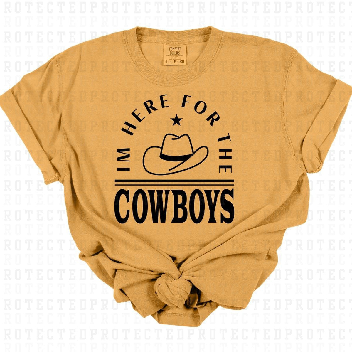 IM HERE FOR THE COWBOYS *BLACK - SINGLE COLOR* - DTF TRANSFER