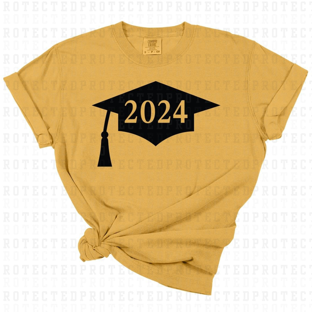 2024 *SINGLE COLOR* - DTF TRANSFER