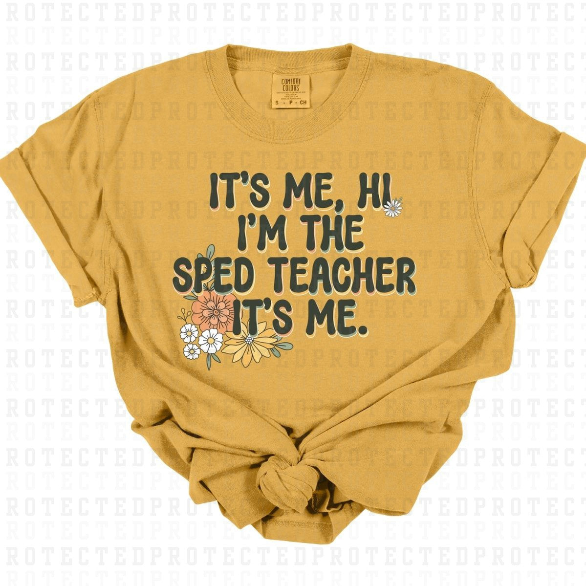 IM THE SPED TEACHER ITS ME - DTF TRANSFER