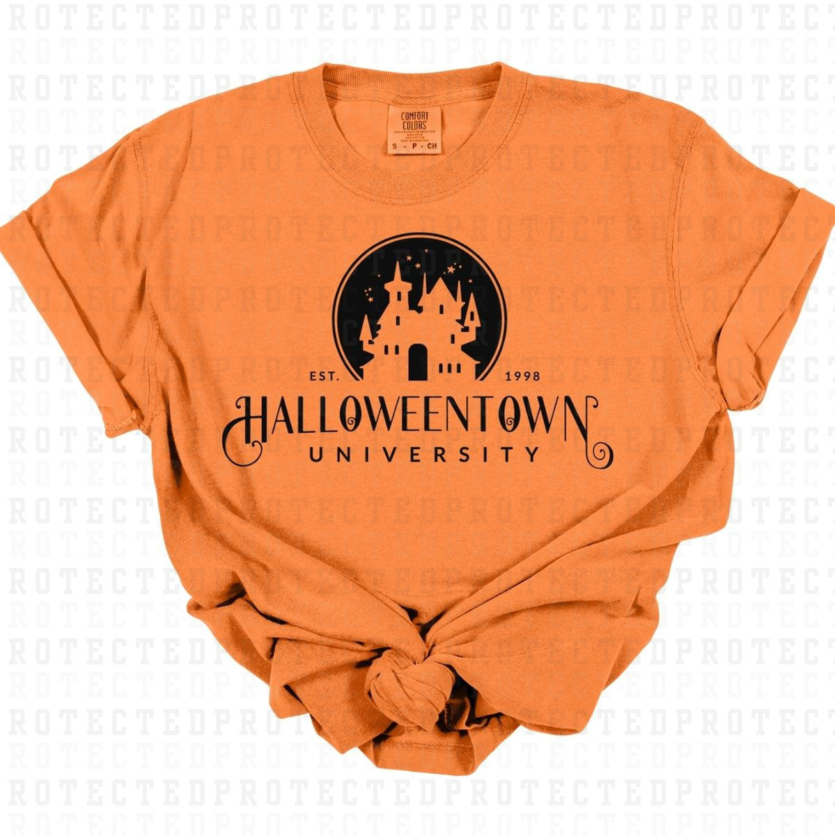 HALLOWEENTOWN UNIVERSITY *SINGLE COLOR* - DTF TRANSFER