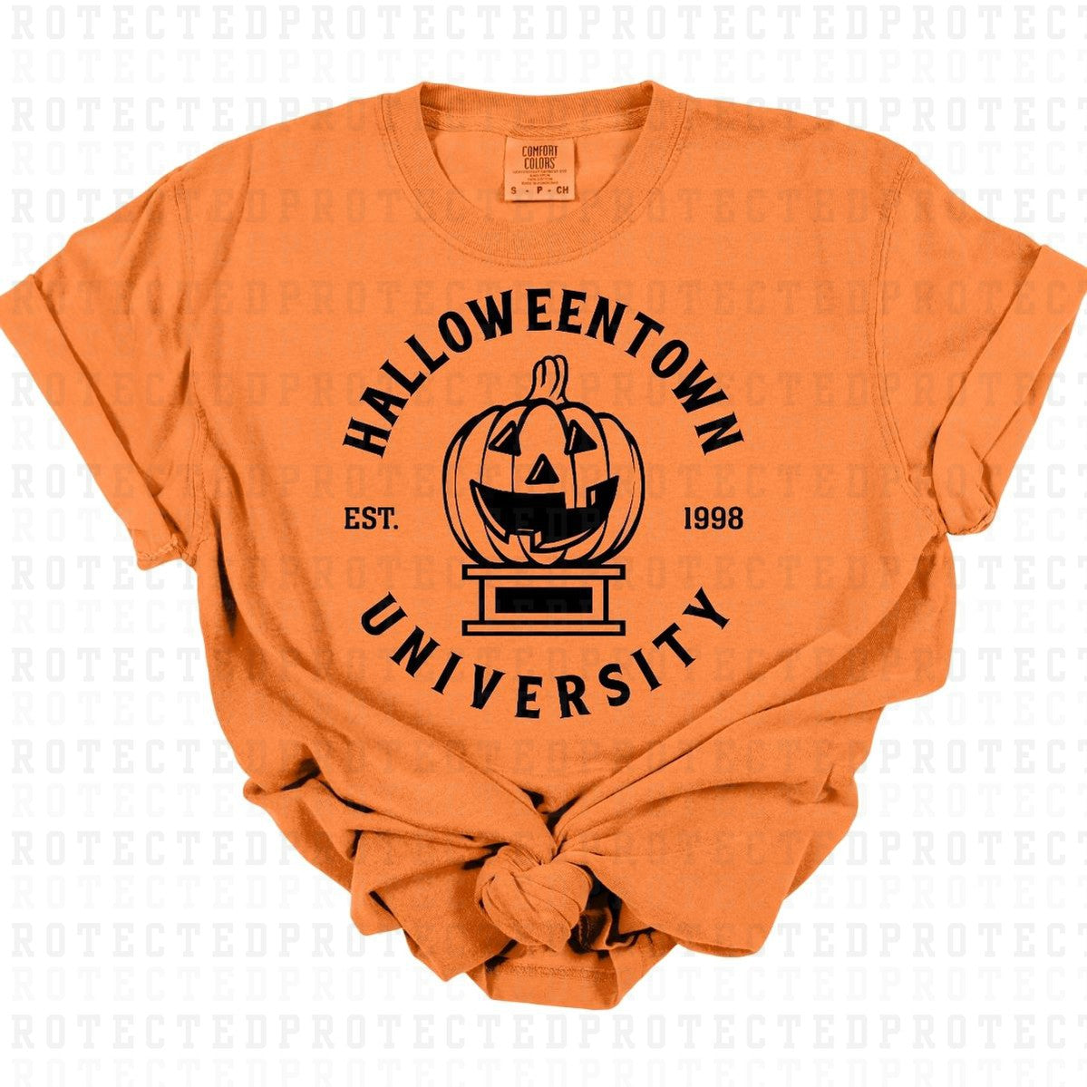 HALLOWEENTOWN UNIVERSITY *SINGLE COLOR* - DTF TRANSFER