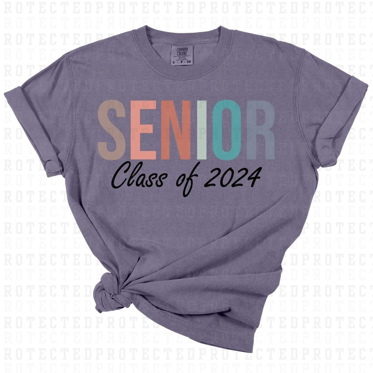 SENIOR CLASS OF 2024 - DTF TRANSFER