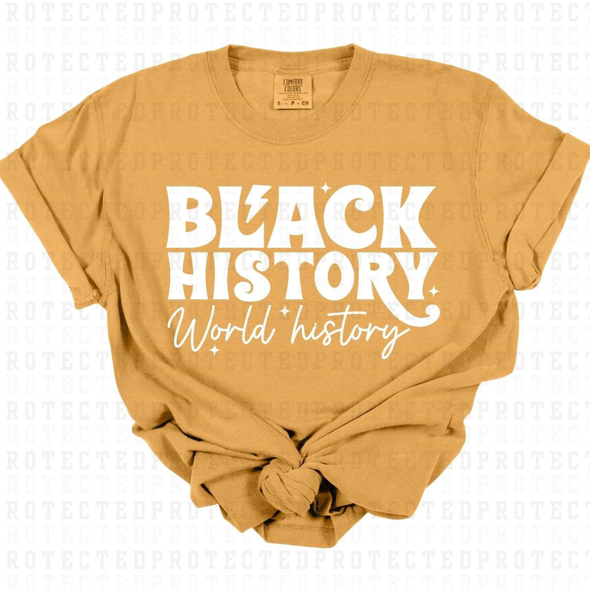 BLACK HISTORY WORLD HISTORY *SINGLE COLOR* - DTF TRANSFER