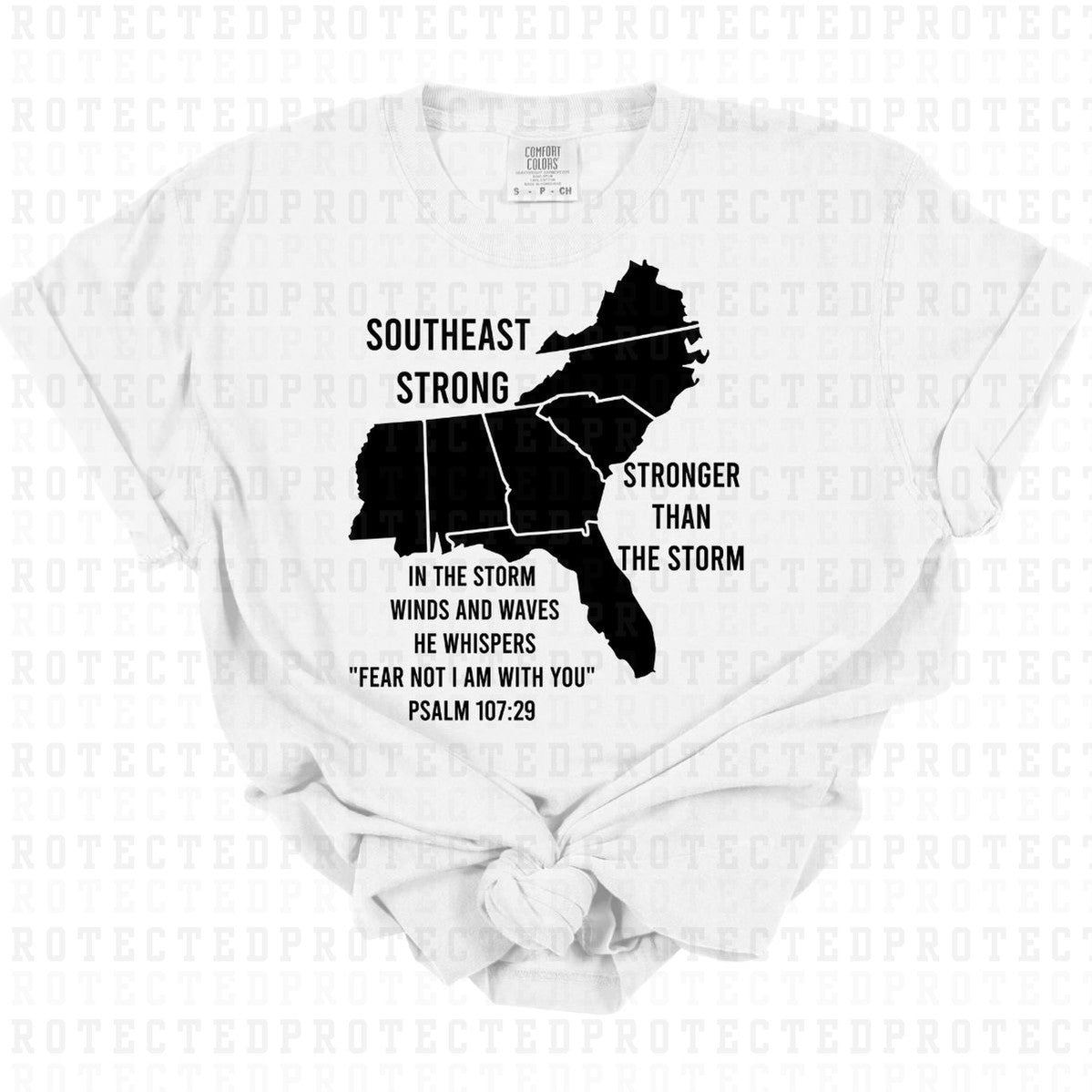 SOUTHEAST STRONG *SINGLE COLOR* - DTF TRANSFER