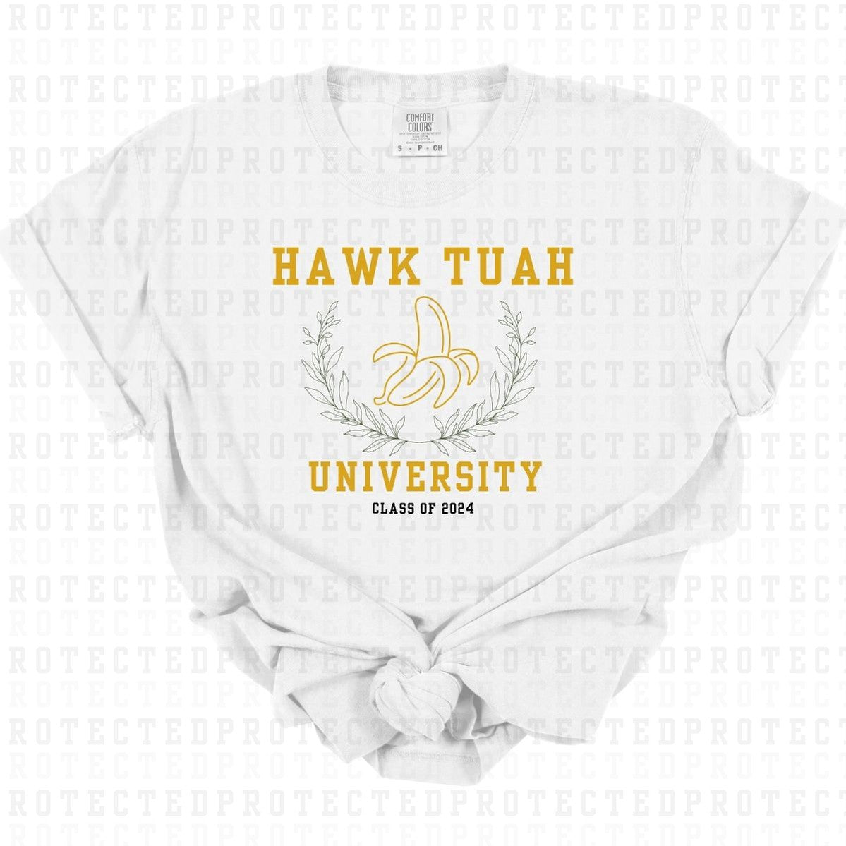 HAWK TUAH UNIVERSITY - DTF TRANSFER