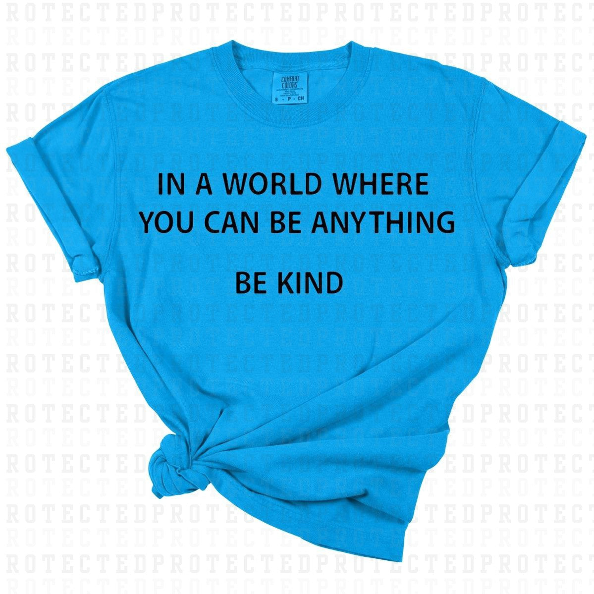 IN A WORLD WHERE YOU CAN BE ANYTHING BE KIND *SINGLE COLOR* - DTF TRANSFER