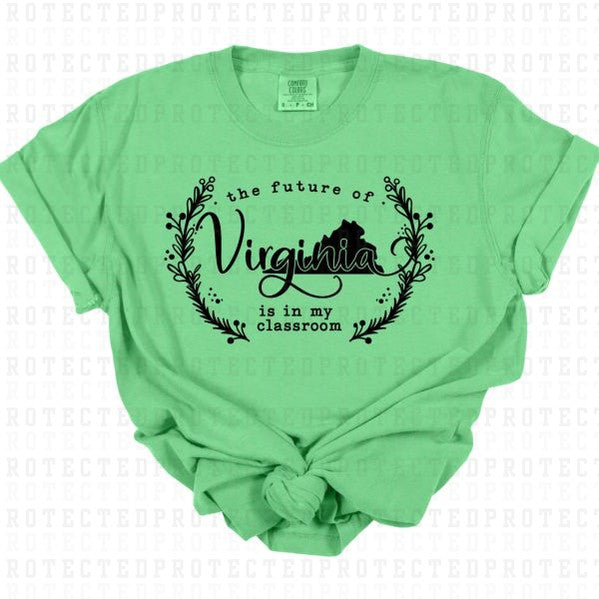 VIRGINIA *SINGLE COLOR* - DTF TRANSFER