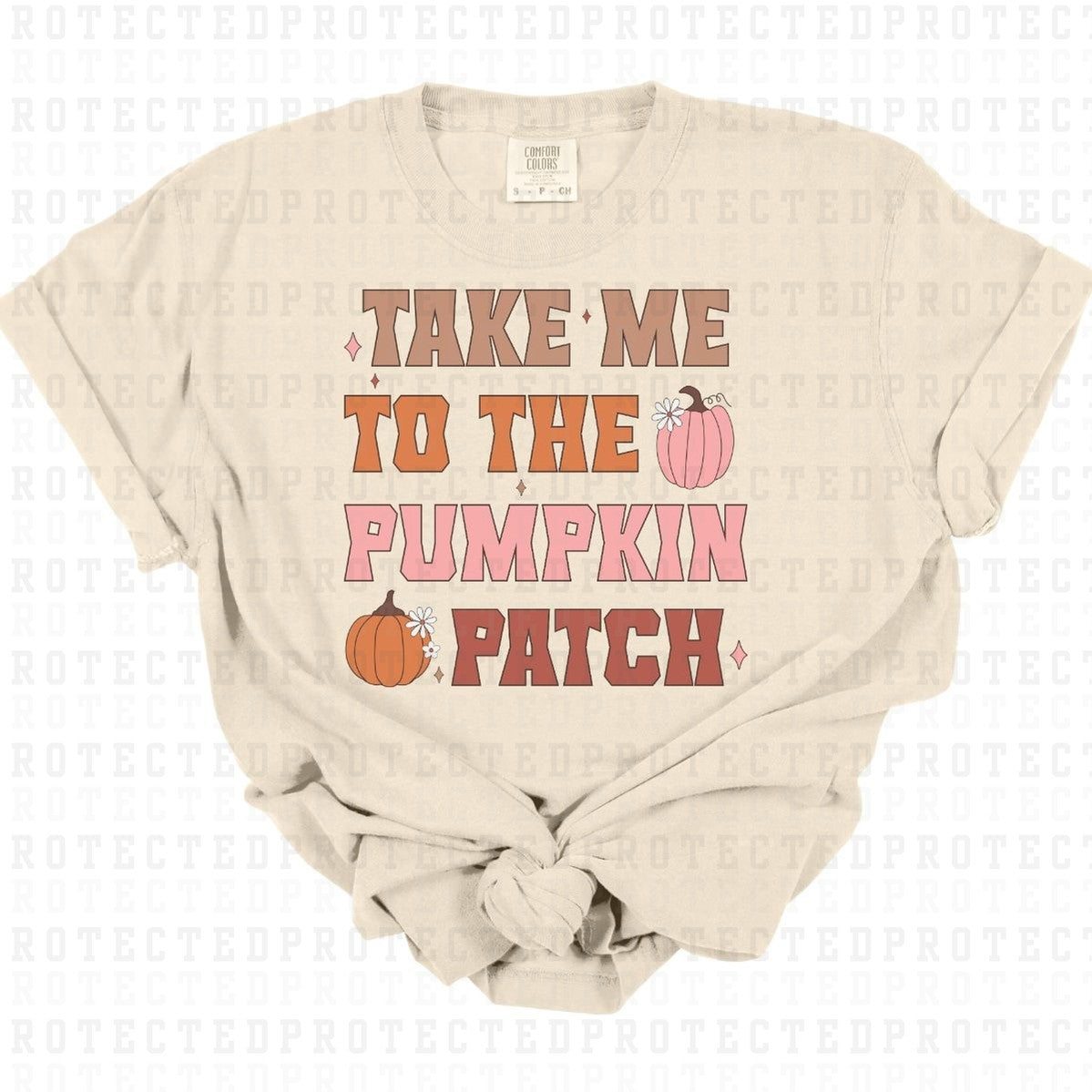 PUMPKIN PATCH - DTF TRANSFER