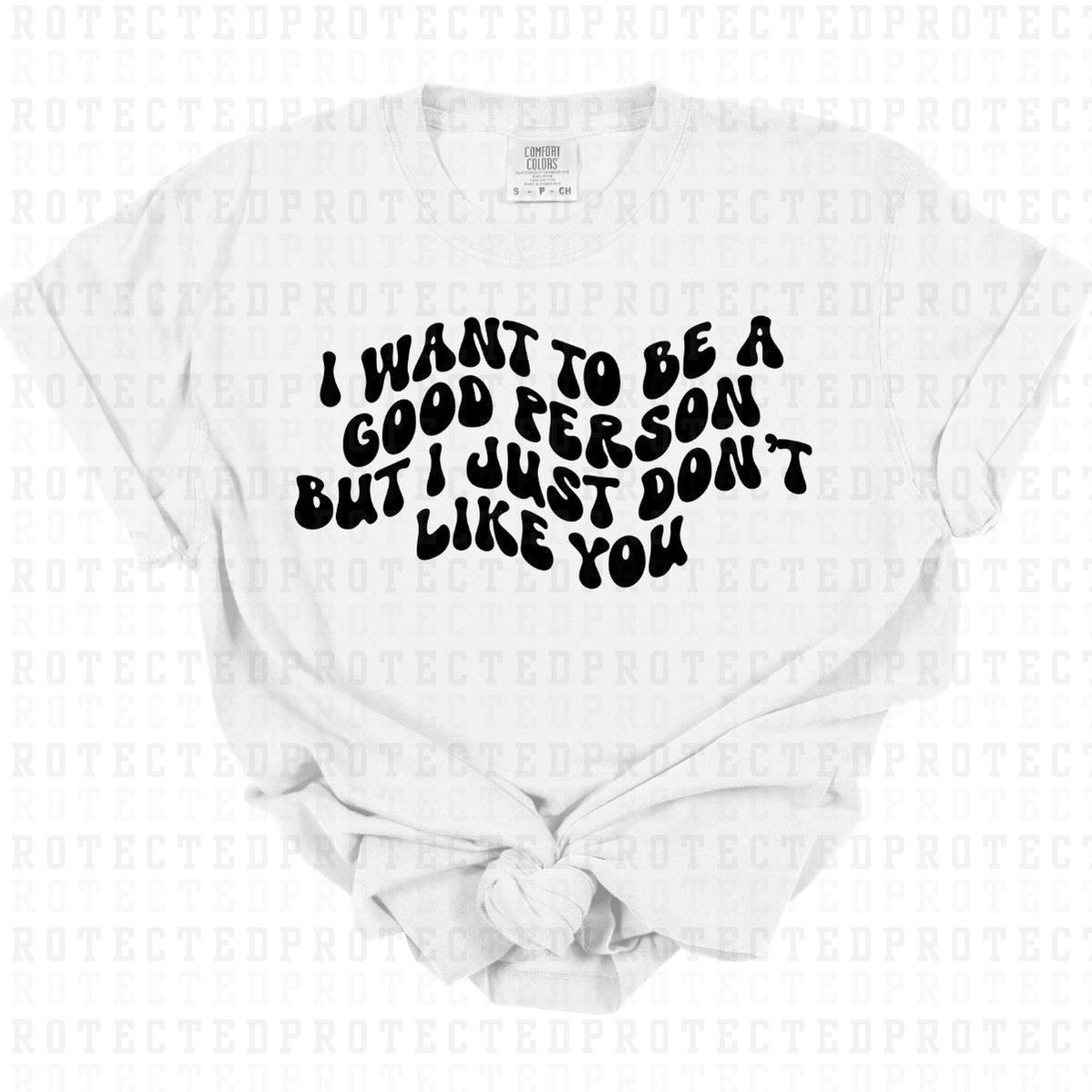 I WANT TO BE A GOOD PERSON BUT I JUST DONT LIKE YOU *SINGLE COLOR* - DTF TRANSFER