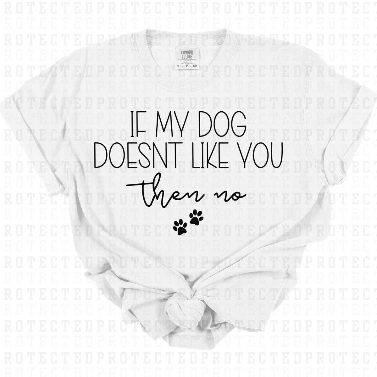 IF MY DOG DOESNT LIKE YOU THEN NO *SINGLE COLOR* - DTF TRANSFER