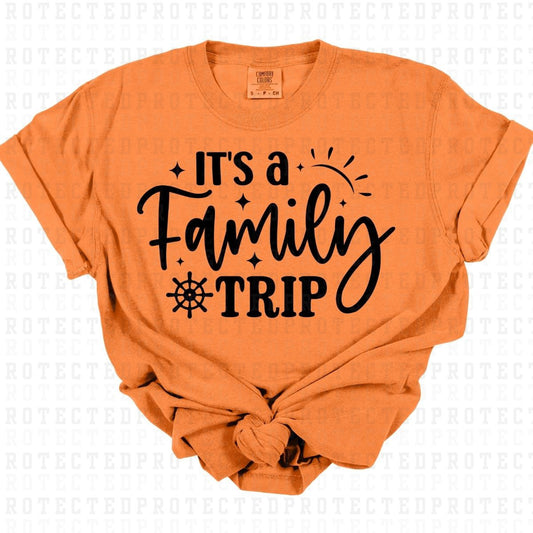 ITS A FAMILY TRIP *SINGLE COLOR* - DTF TRANSFER