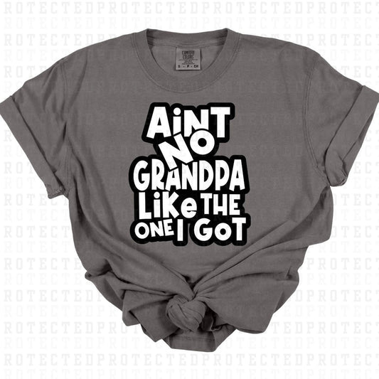 NO GRANDPA LIKE THE ONE I GOT - DTF TRANSFER