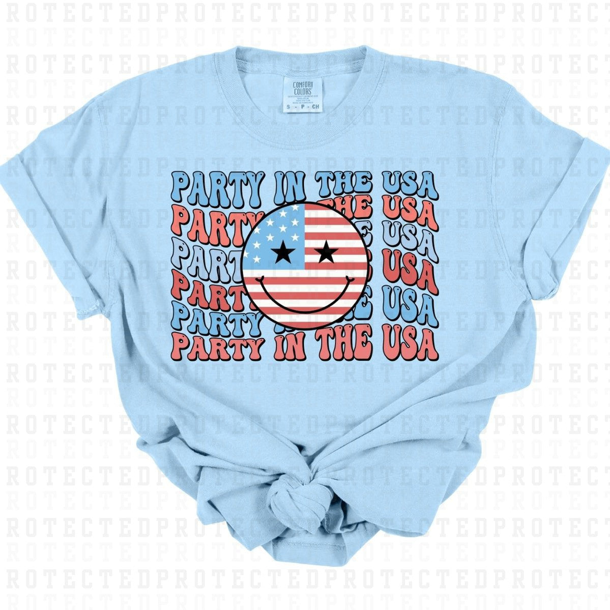 PARTY IN THE USA - DTF TRANSFER