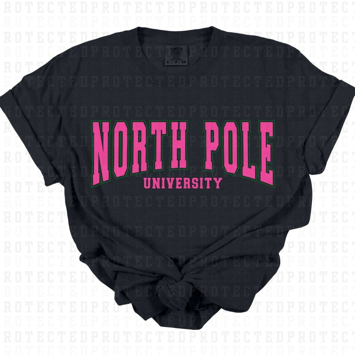 NORTH POLE UNIVERSITY - DTF TRANSFER