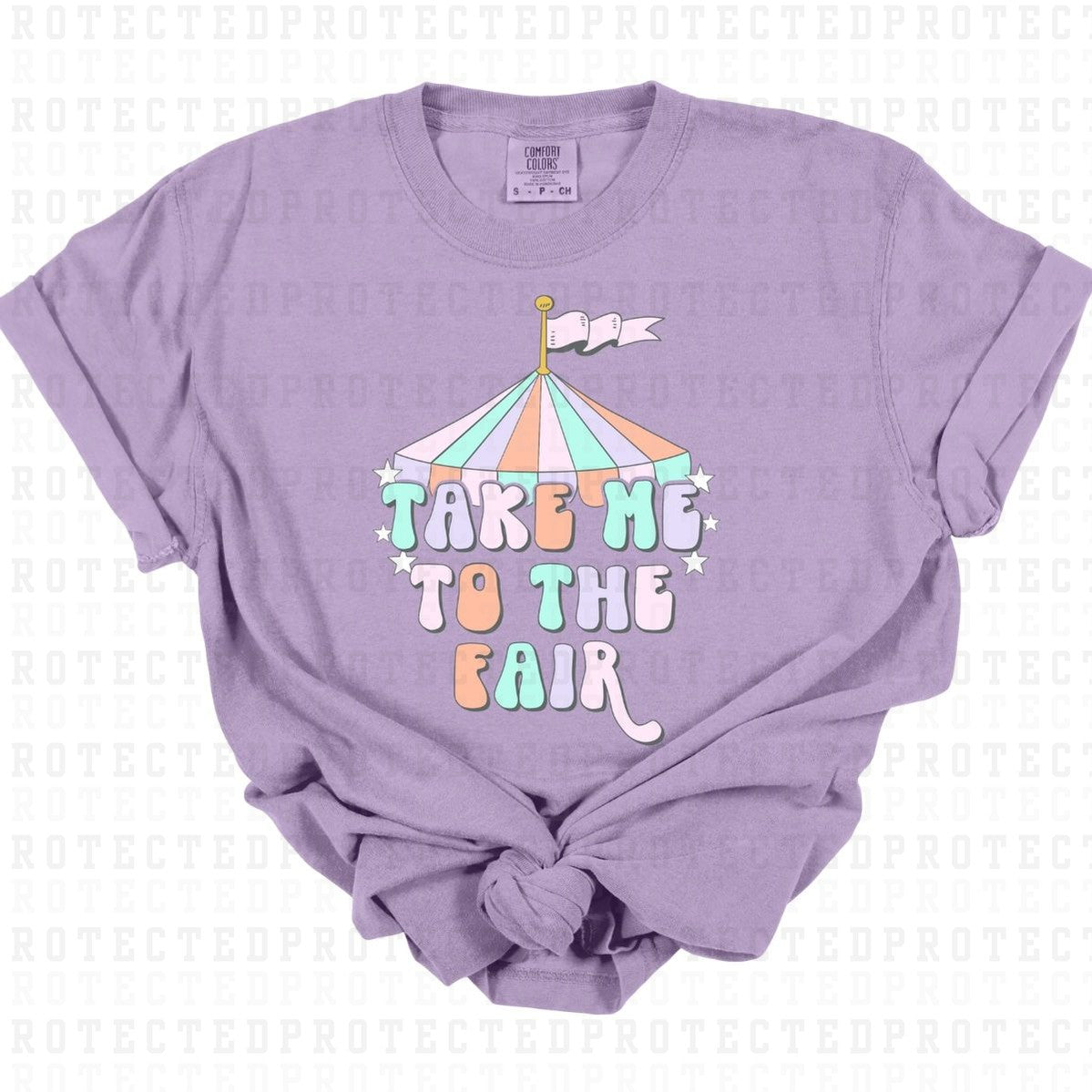 TAKE ME TO THE FAIR - DTF TRANSFER