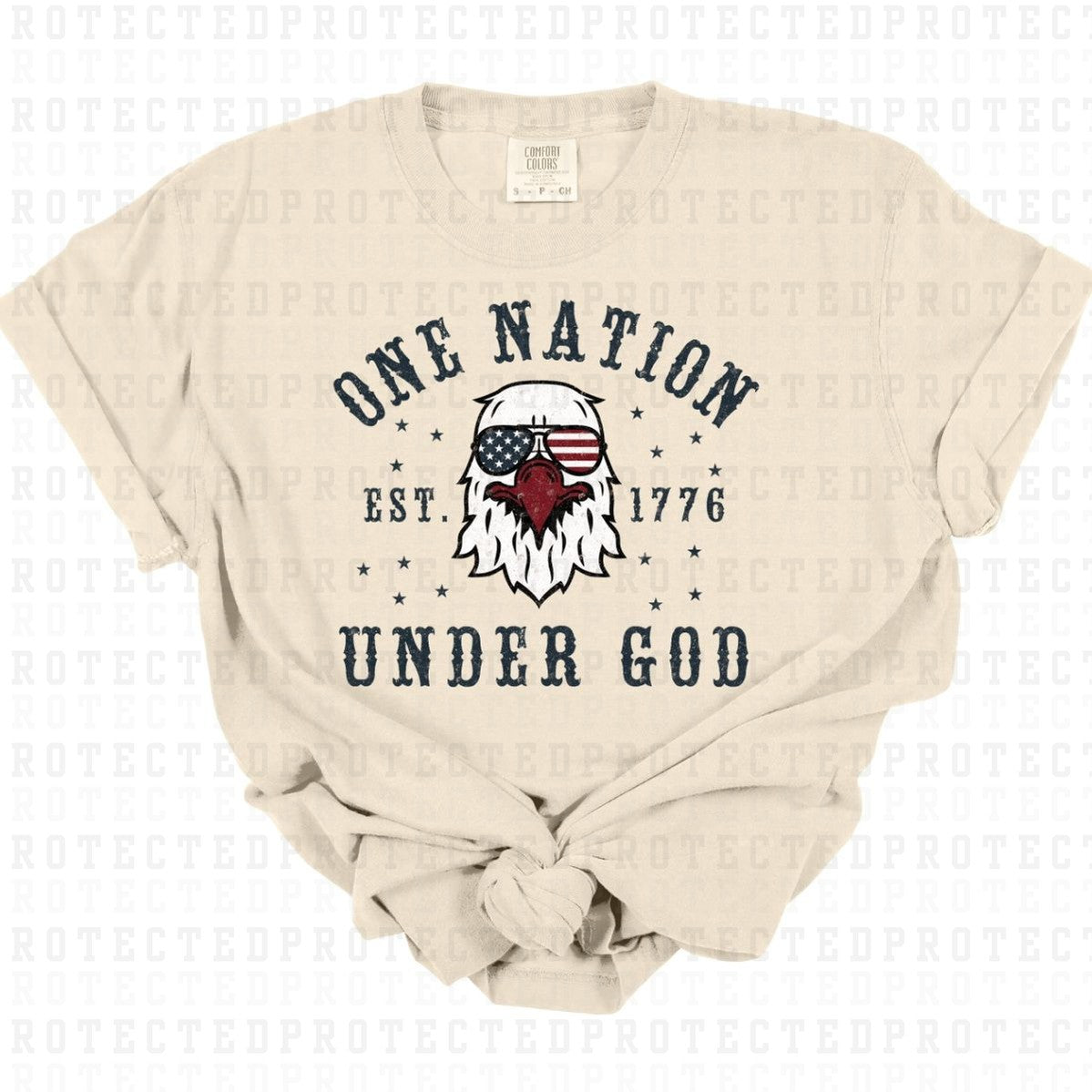 ONE NATION UNDER GOD - DTF TRANSFER