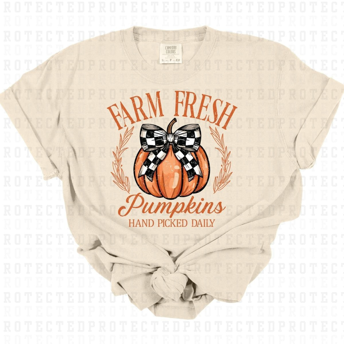 COQUETTE FARM FRESH PUMPKINS *GRUNGE* - DTF TRANSFER