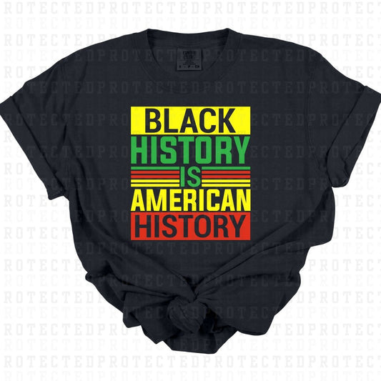 BLACK HISTORY IS AMERICAN HISTORY - DTF TRANSFER