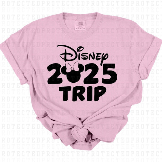 MAGICAL 2025 TRIP *SINGLE COLOR* - DTF TRANSFER