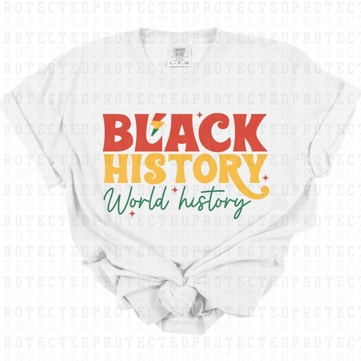 BLACK HISTORY WORLD HISTORY - DTF TRANSFER