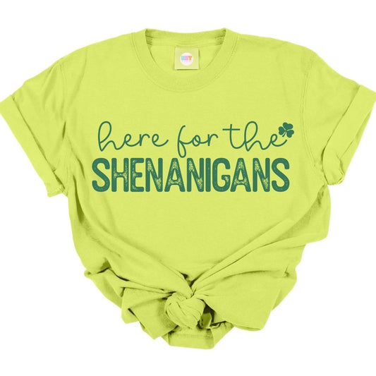 HERE FOR THE SHENANIGANS *SINGLE COLOR* - DTF TRANSFER