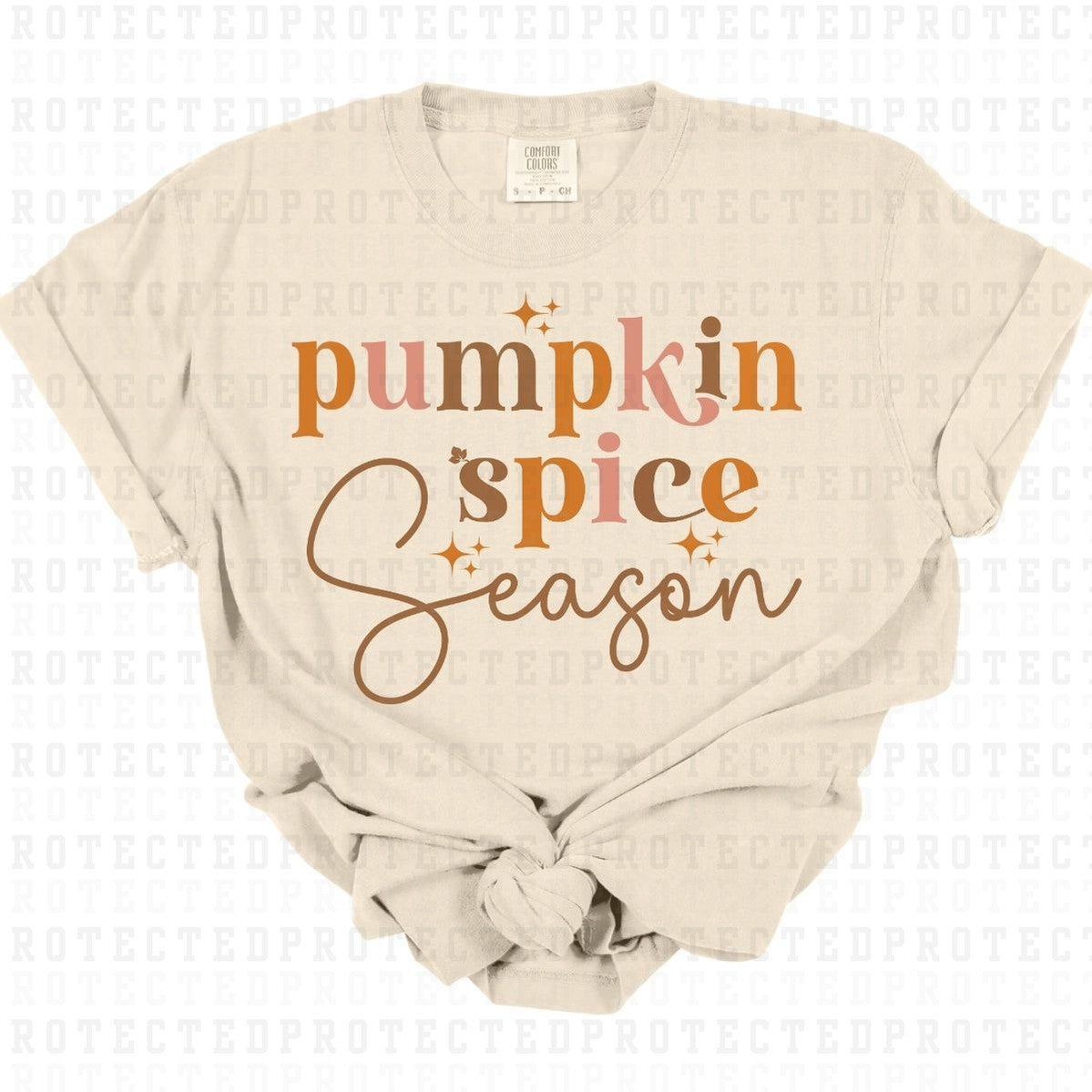 PUMPKIN SPICE SEASON - DTF TRANSFER