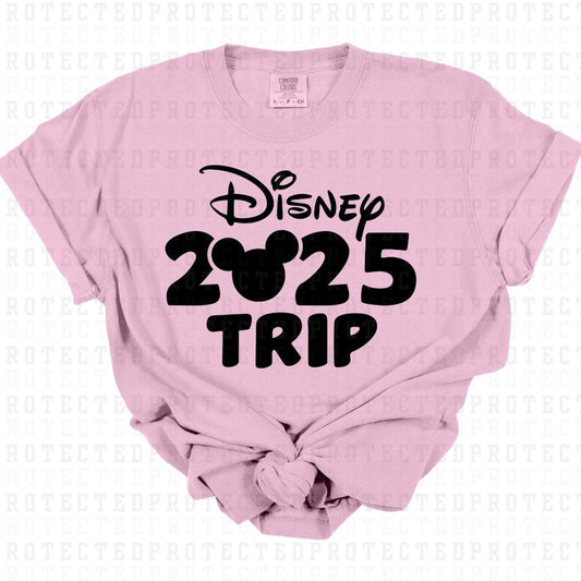 MAGICAL 2025 TRIP *SINGLE COLOR* - DTF TRANSFER