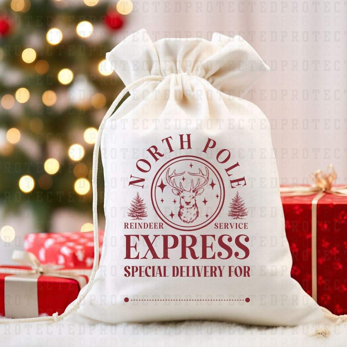 NORTH POLE EXPRESS *SINGLE COLOR* - DTF TRANSFER