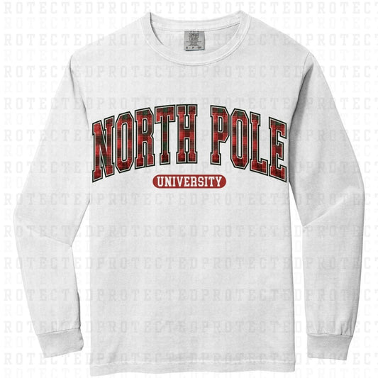 NORTH POLE UNIVERSITY - DTF TRANSFER