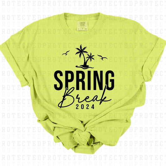 SPRING BREAK 2024 *BLACK TEXT - SINGLE COLOR* - DTF TRANSFER