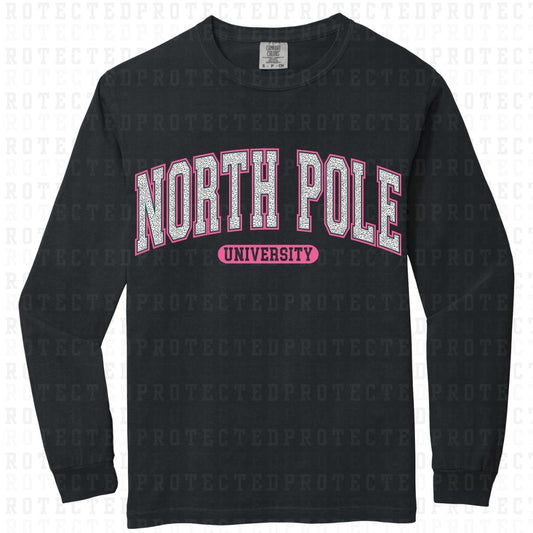 NORTH POLE UNIVERSITY - DTF TRANSFER