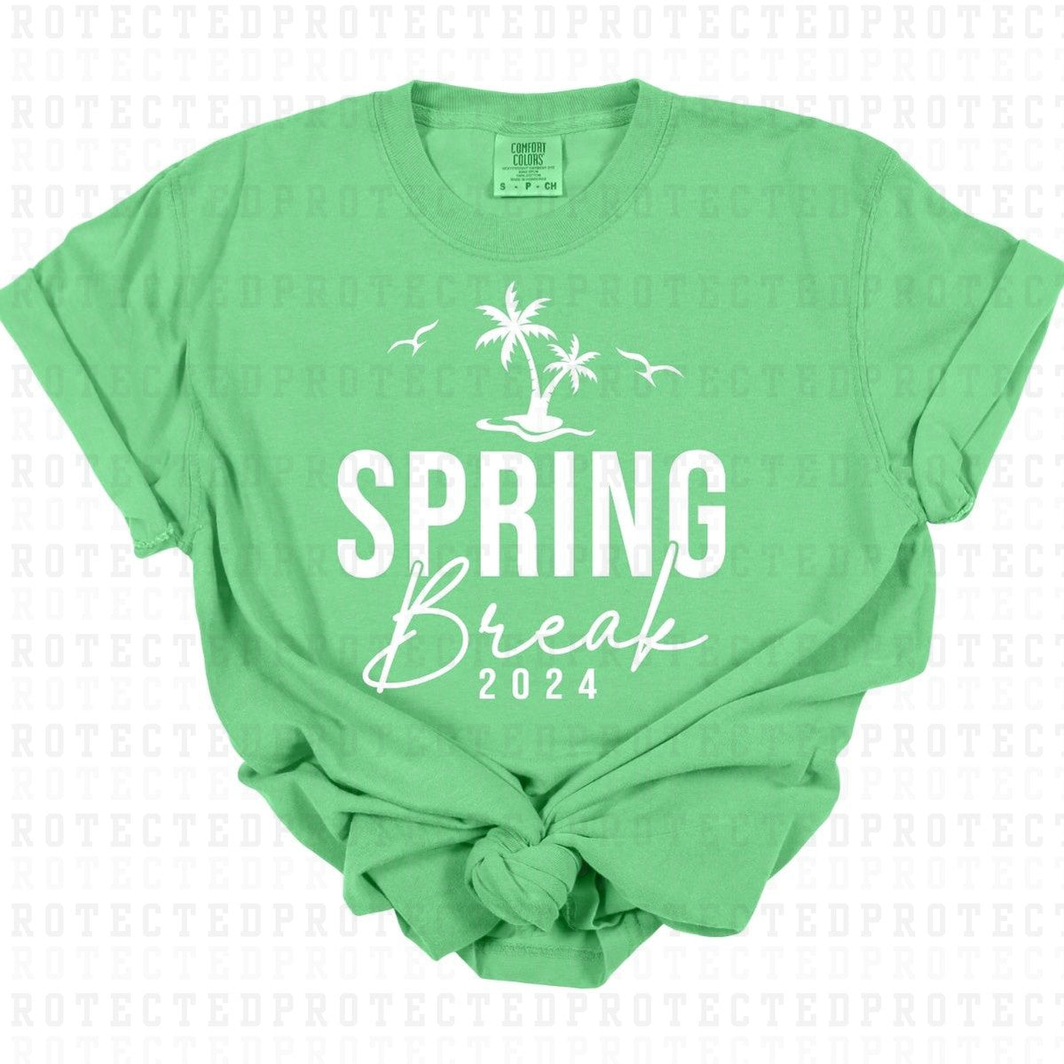 SPRING BREAK 2024 *WHITE TEXT - SINGLE COLOR* - DTF TRANSFER