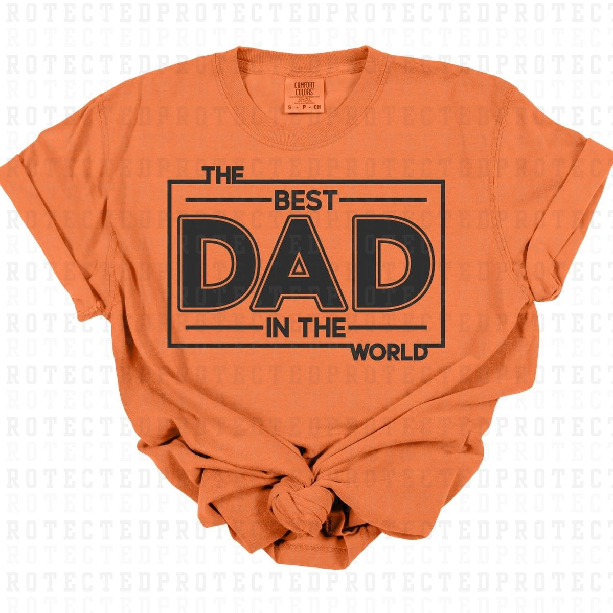 THE BEST DAD IN THE WORLD *SINGLE COLOR* - DTF TRANSFER