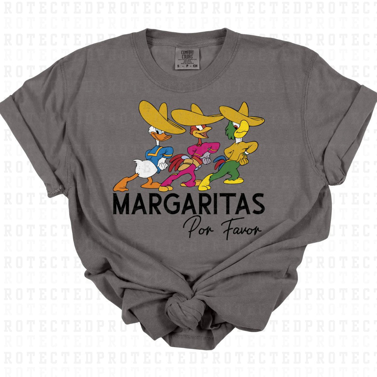 MARGARITAS POR FAVOR - DTF TRANSFER