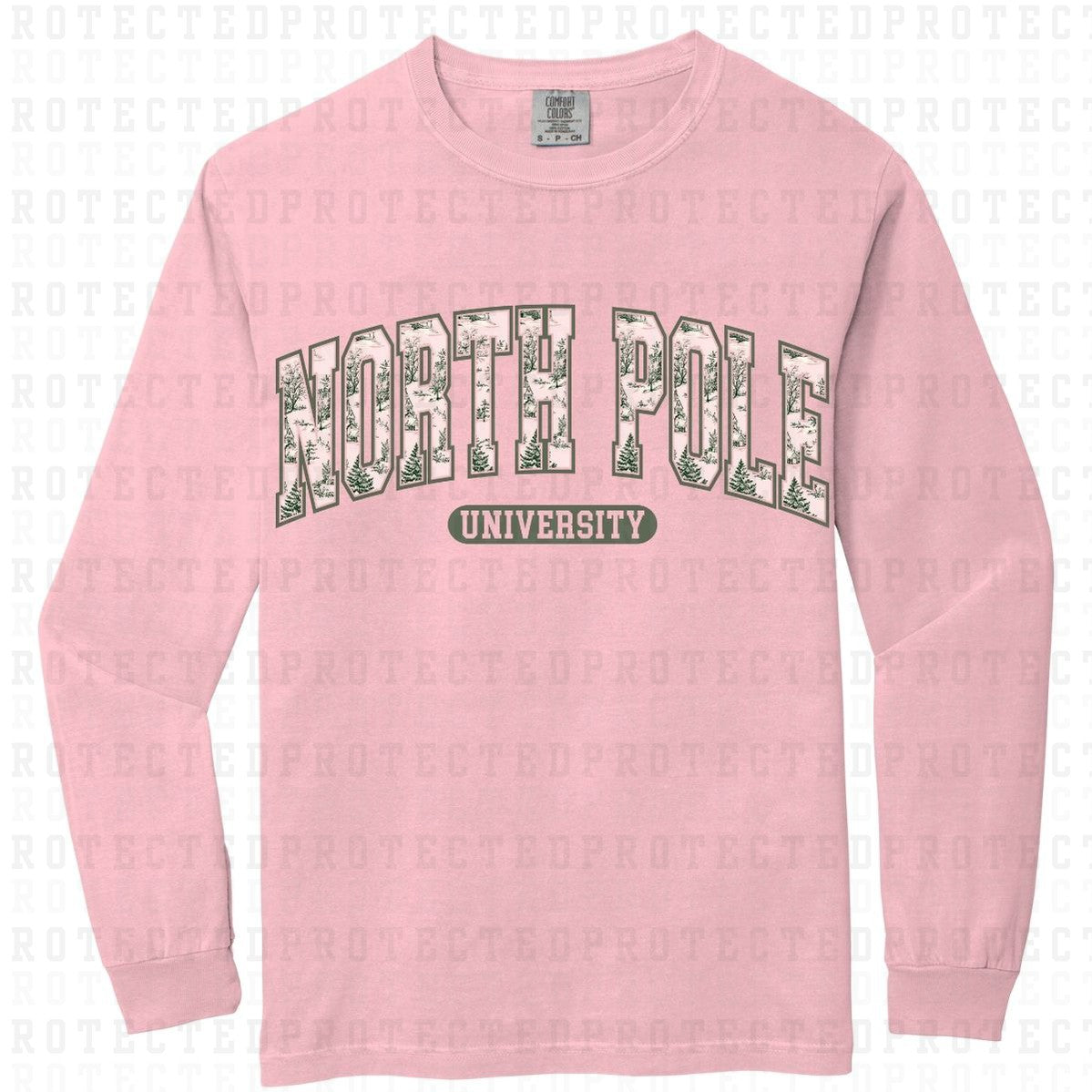 NORTH POLE UNIVERSITY - DTF TRANSFER