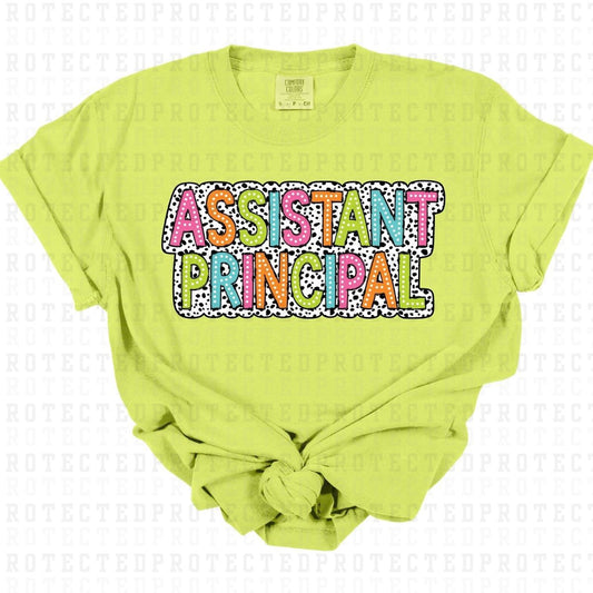 ASSISTANT PRINCIPAL - DTF TRANSFER