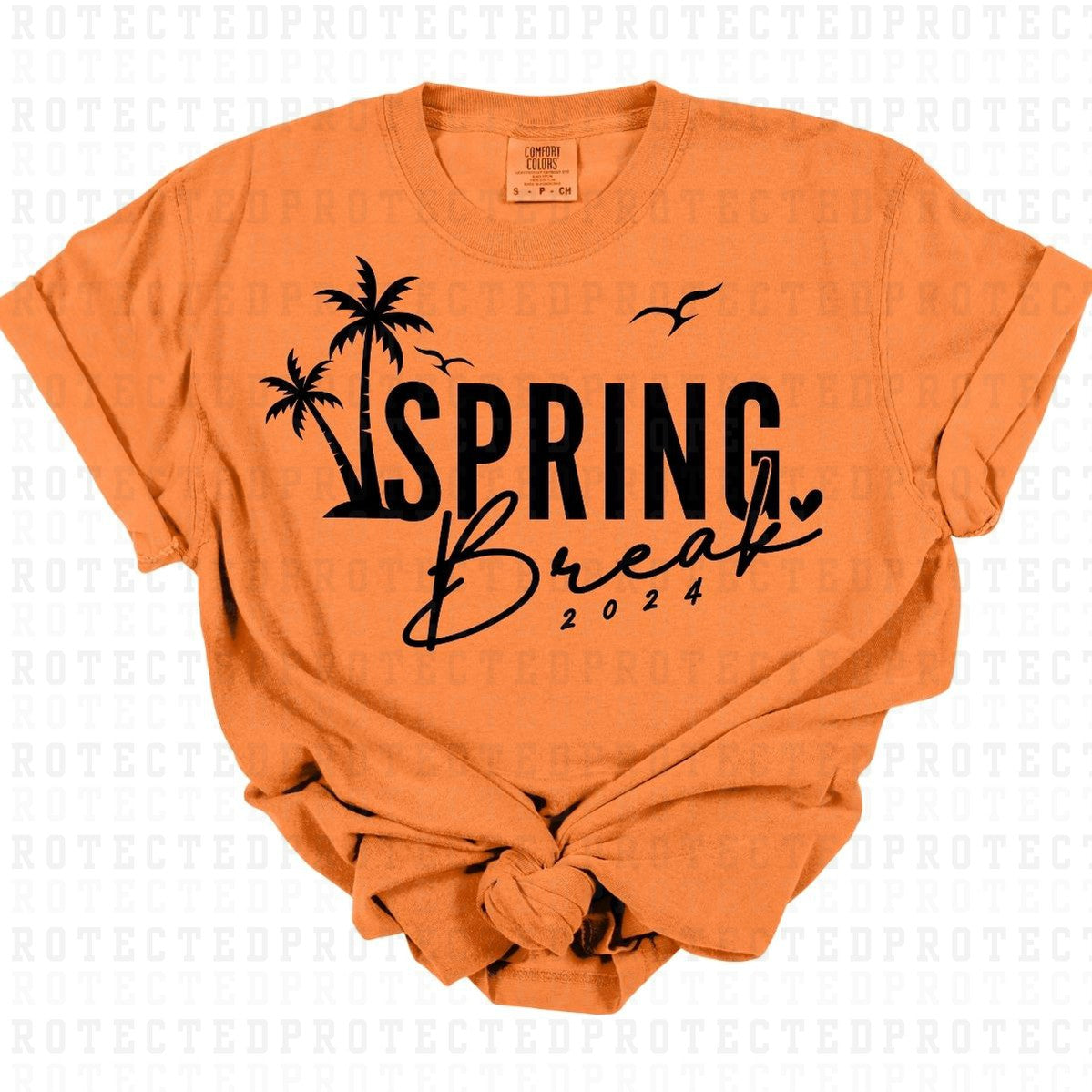 SPRING BREAK 2024 *BLACK TEXT - SINGLE COLOR* - DTF TRANSFER