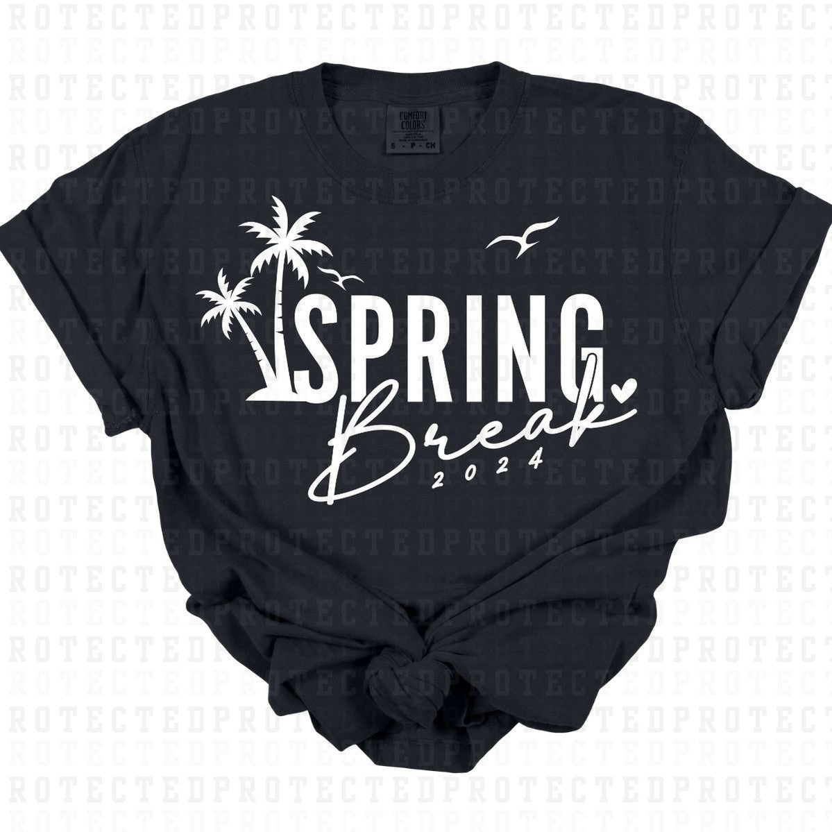 SPRING BREAK 2024 *BLACK TEXT - SINGLE COLOR* - DTF TRANSFER