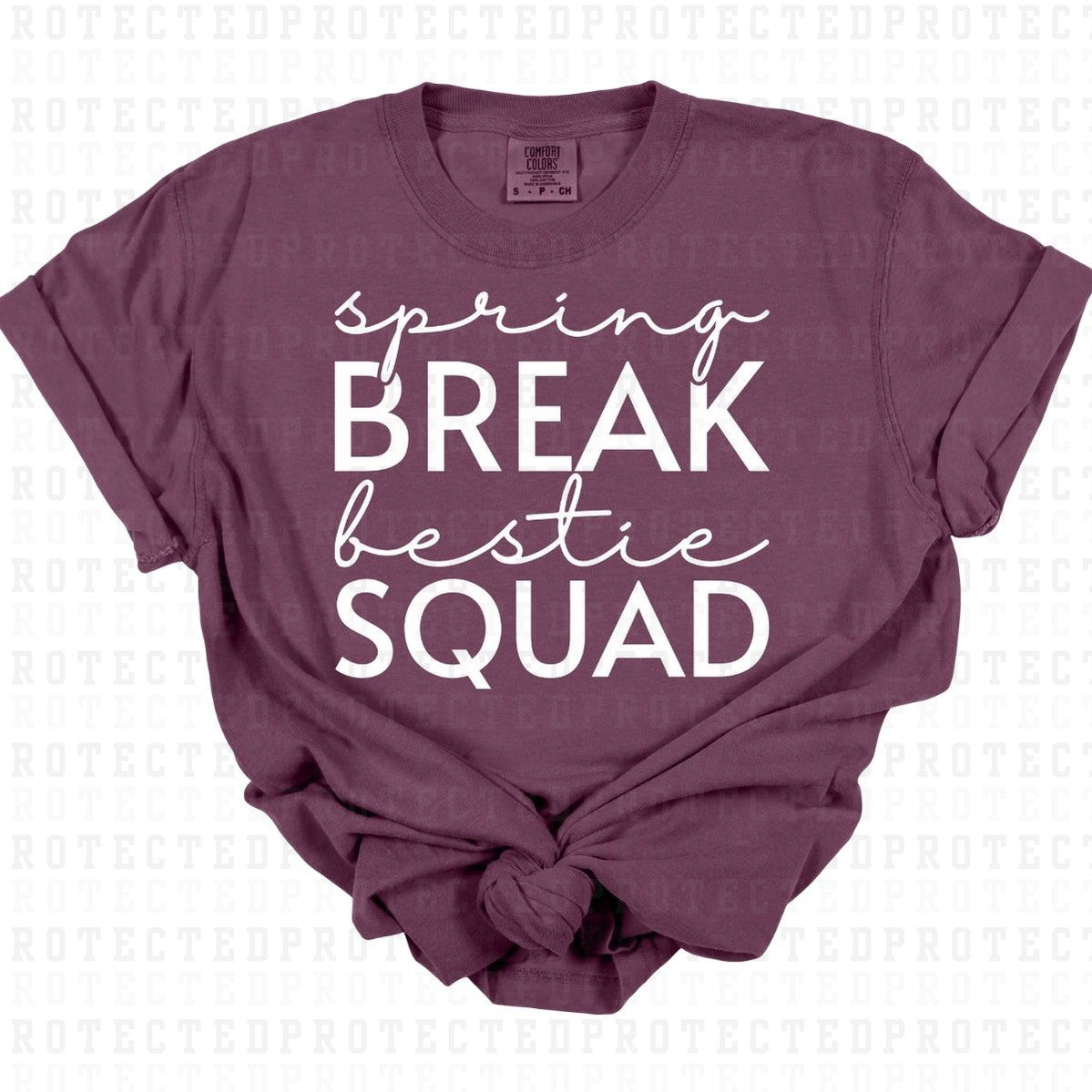 SPRING BREAK BESTIE SQUAD *WHITE TEXT - SINGLE COLOR* - DTF TRANSFER