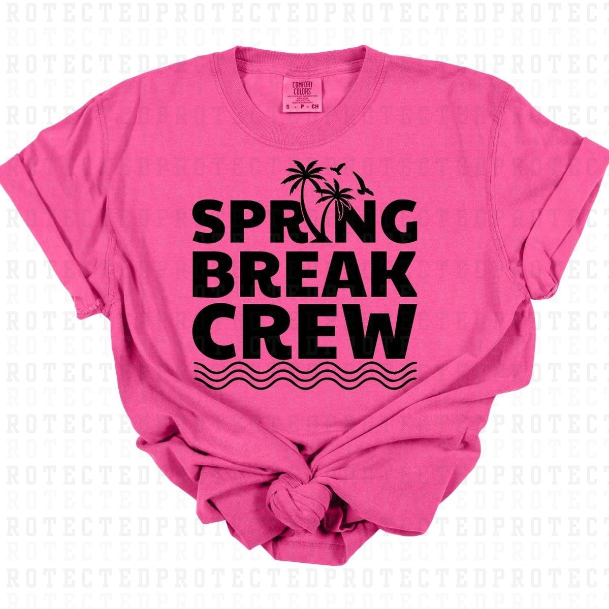 SPRING BREAK CREW *BLACK TEXT - SINGLE COLOR* - DTF TRANSFER