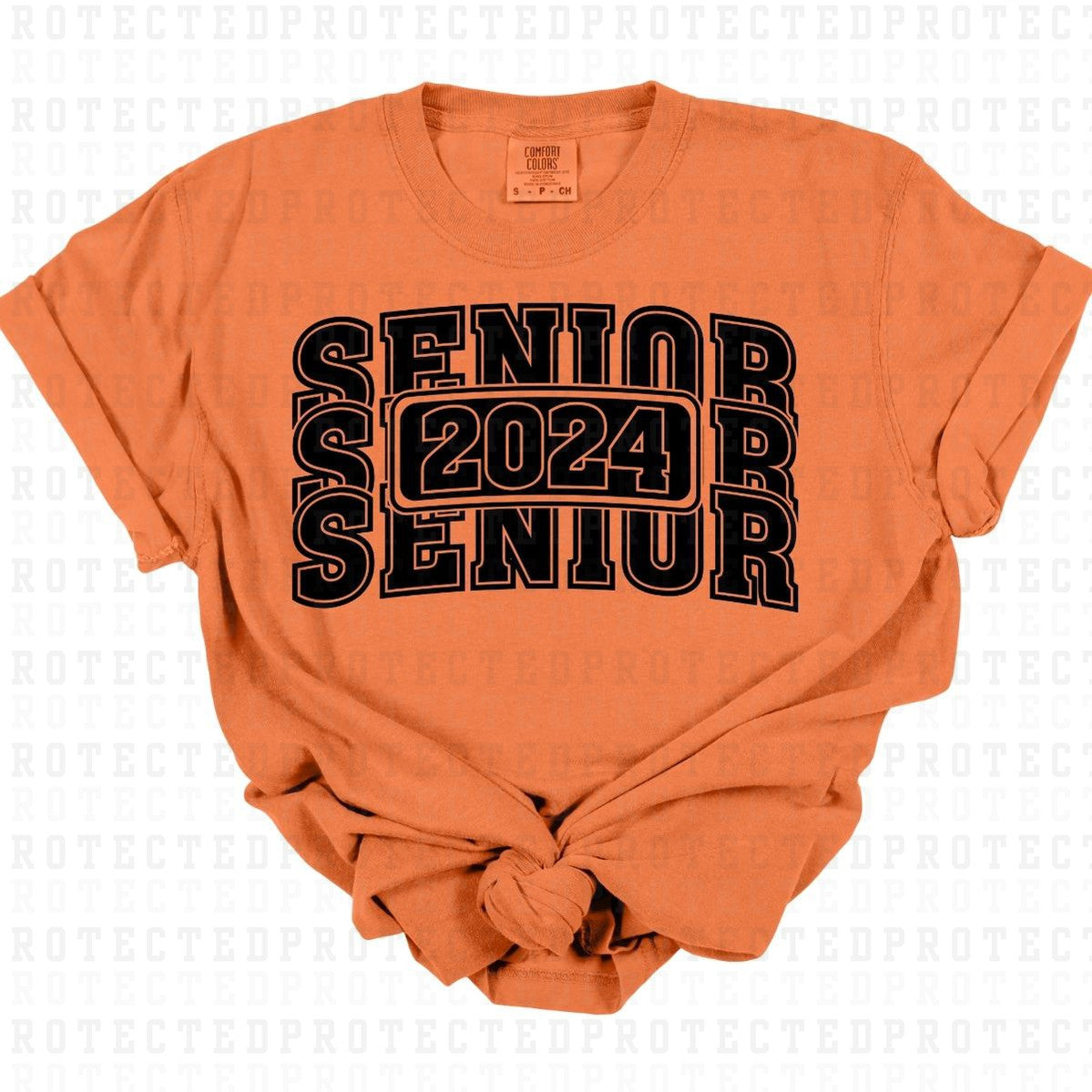 SENIOR 2024 *SINGLE COLOR* - DTF TRANSFER