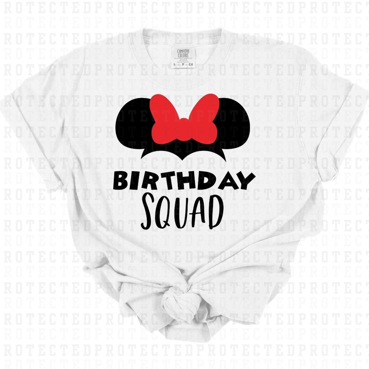 BIRTHDAY SQUAD - DTF TRANSFER