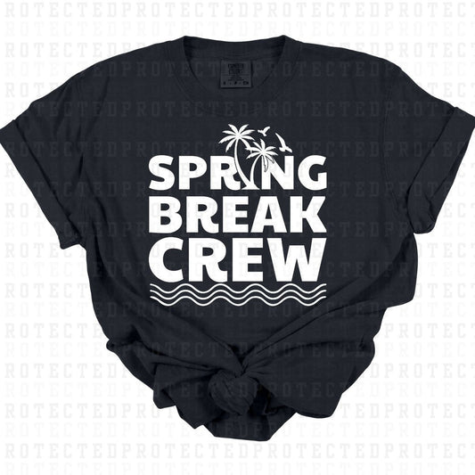 SPRING BREAK CREW *WHITE TEXT - SINGLE COLOR* - DTF TRANSFER