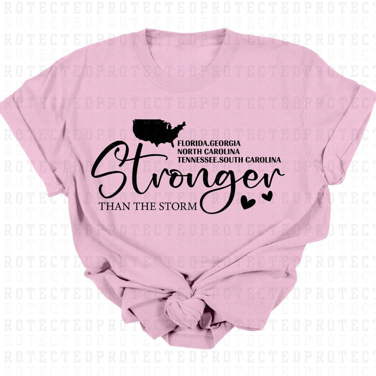 FL GA NC TN SC STRONGER THAN THE STORM *SINGLE COLOR* - DTF TRANSFER