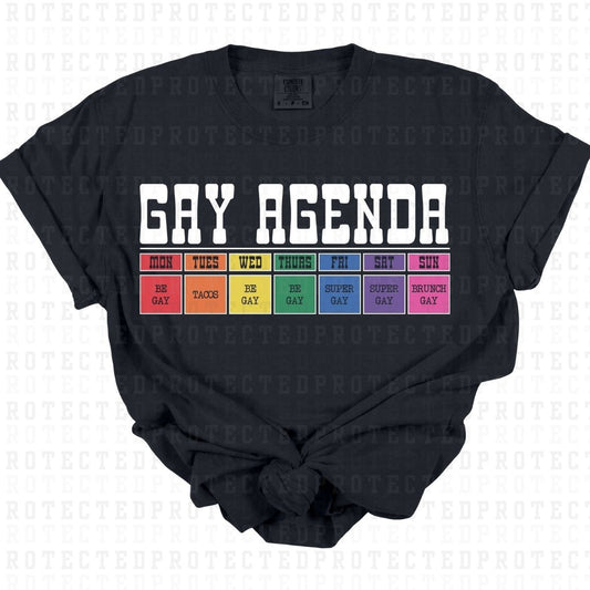 GAY AGENDA - DTF TRANSFER