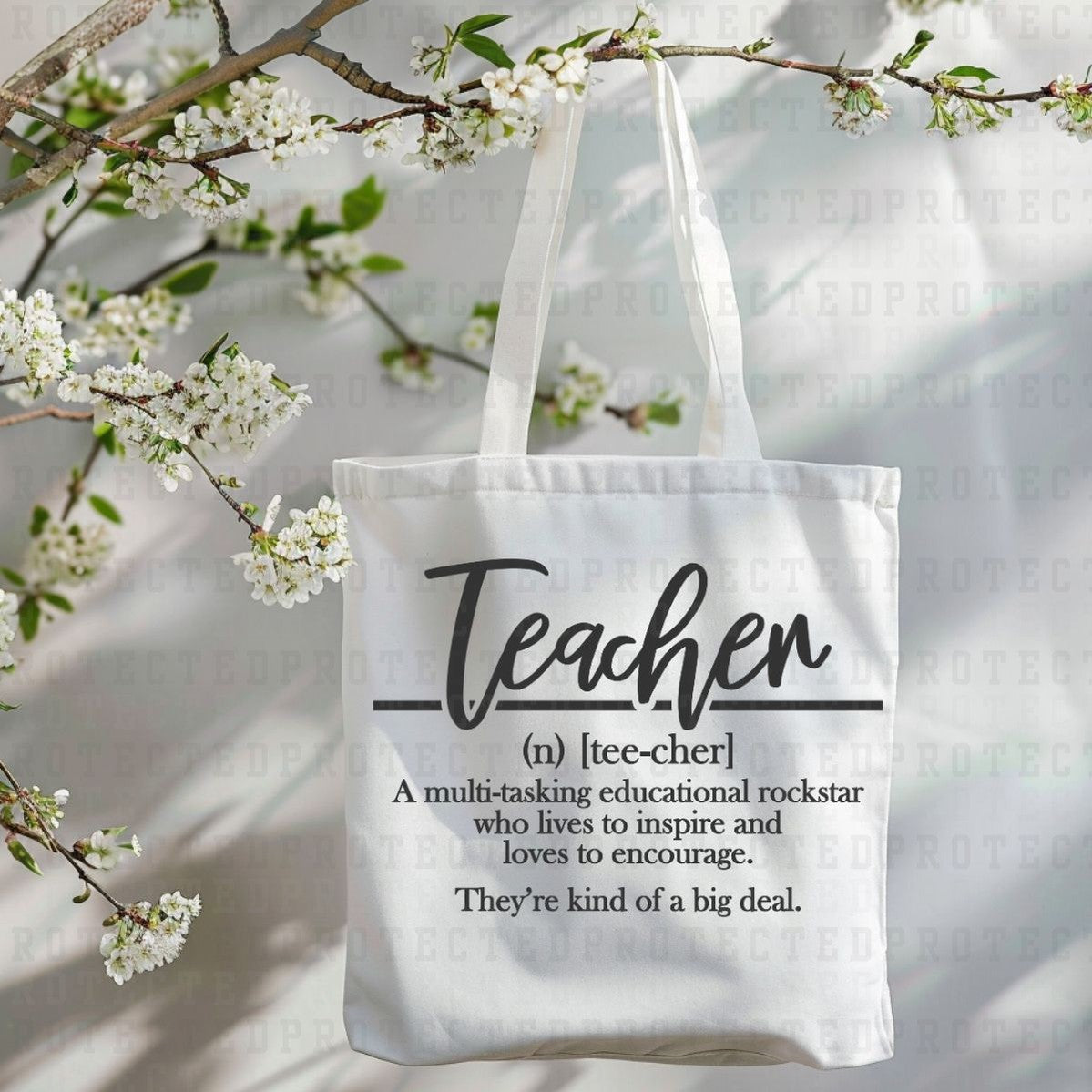 TEACHER DEFINITION *SINGLE COLOR* - DTF TRANSFER