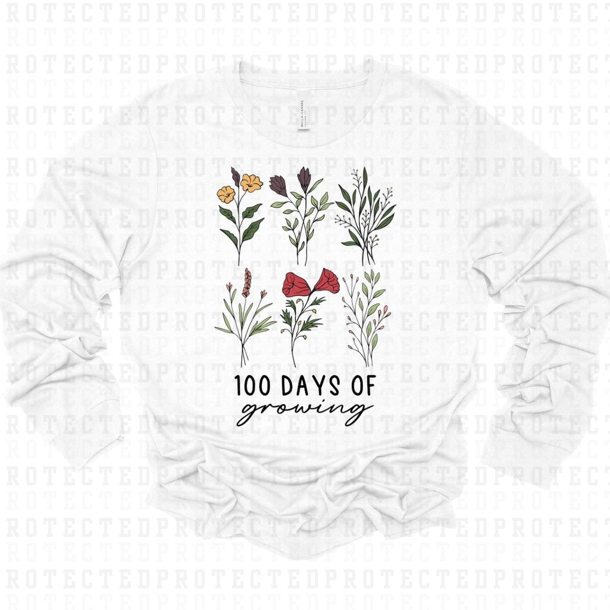 100 DAYS OF GROWING - DTF TRANSFER