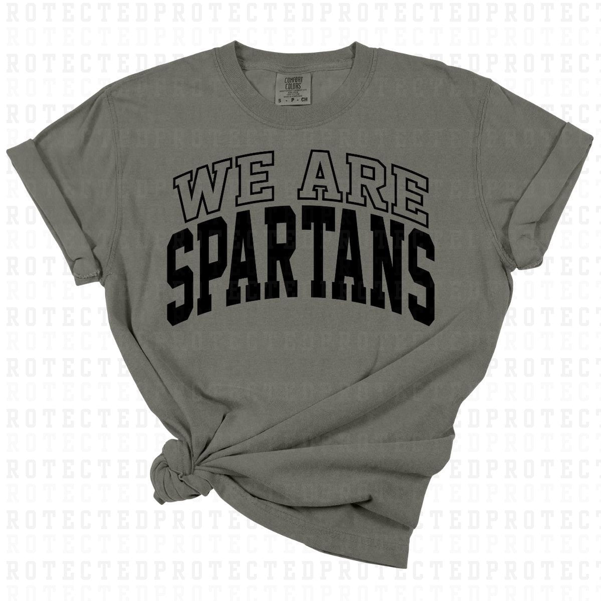 WE ARE SPARTANS *SINGLE COLOR* - DTF TRANSFER